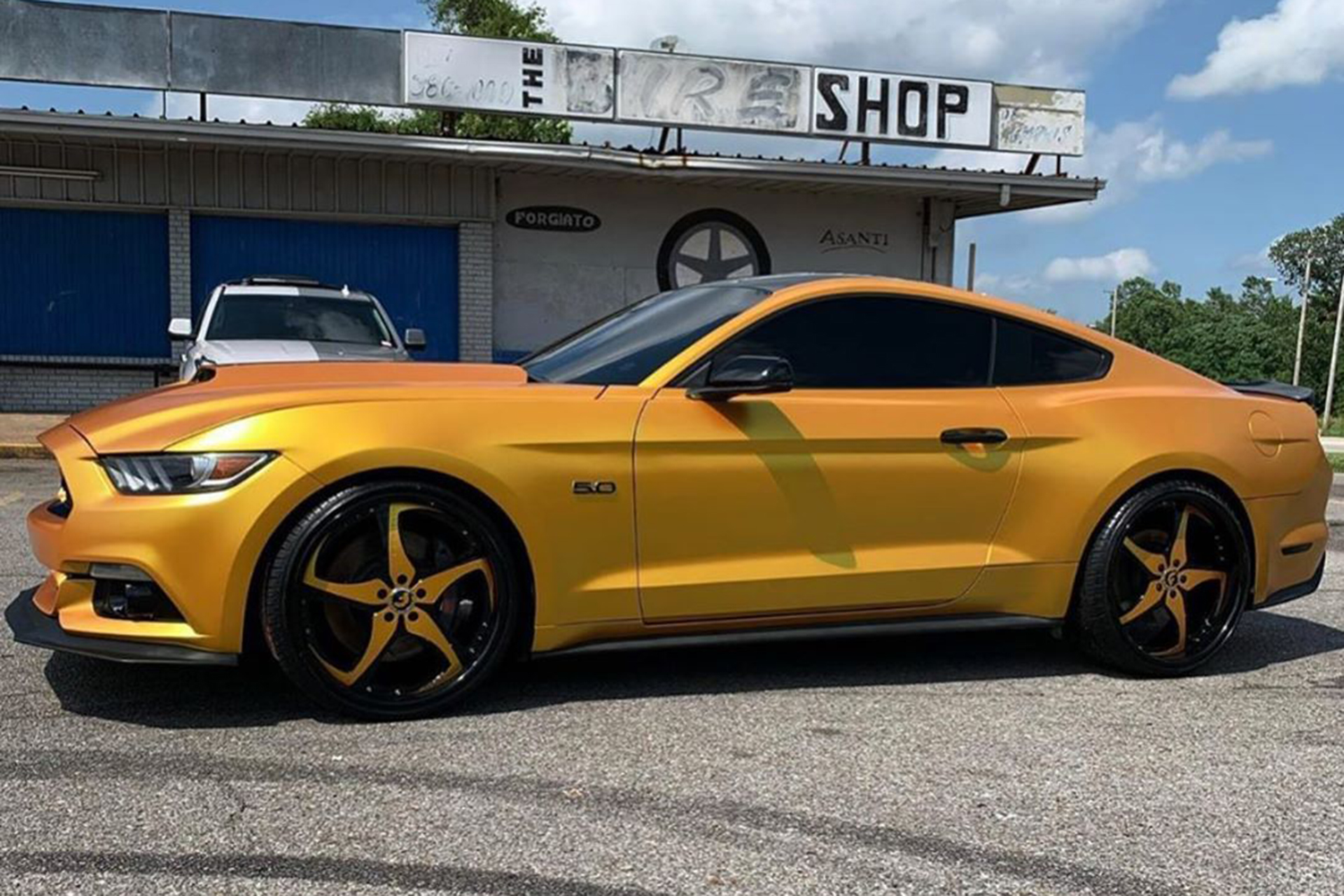Mustang on Opposti