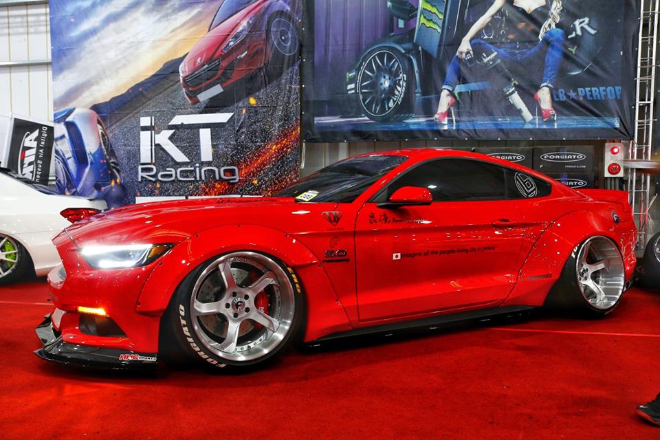 Mustang on S219-ECL
