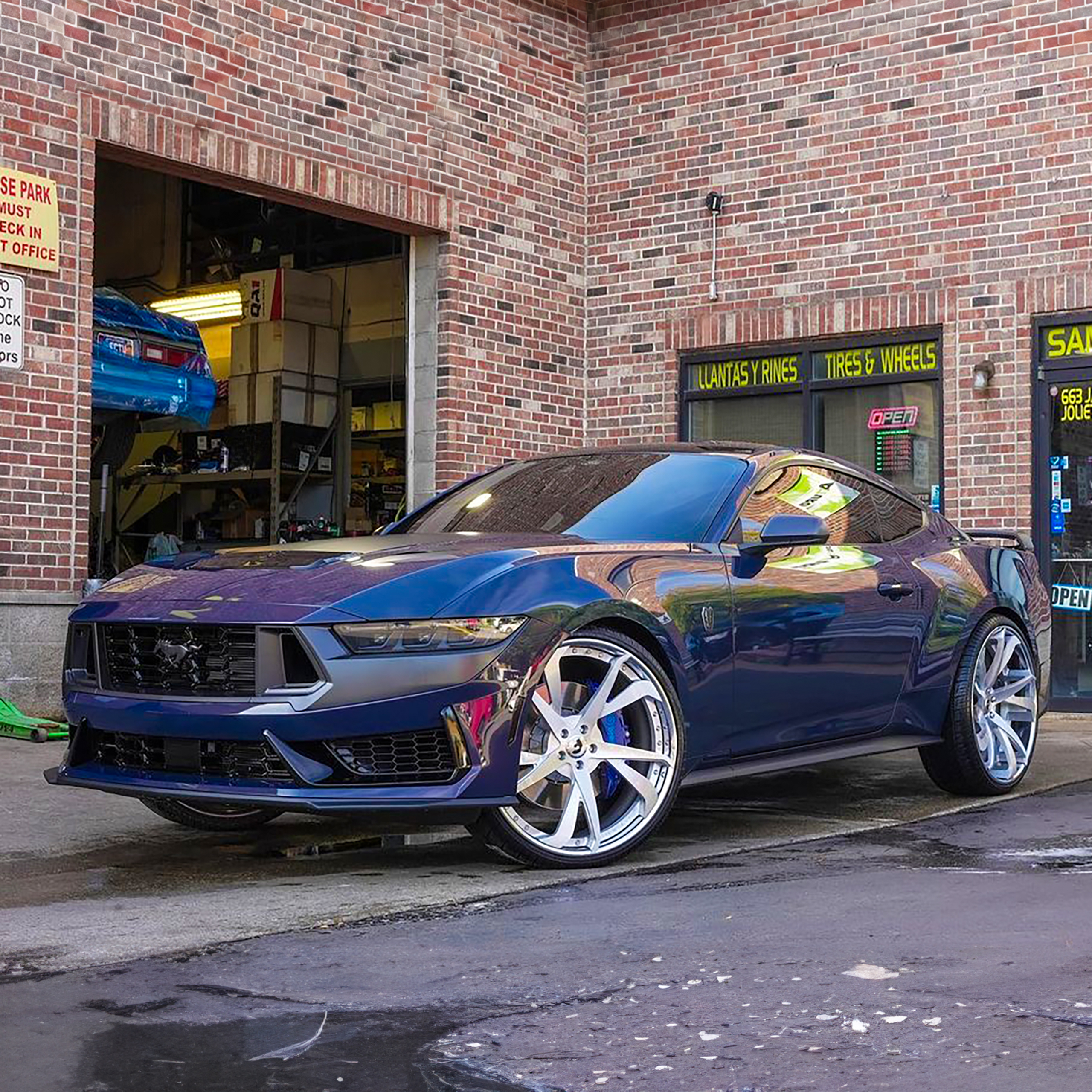 Mustang on S221-ECL