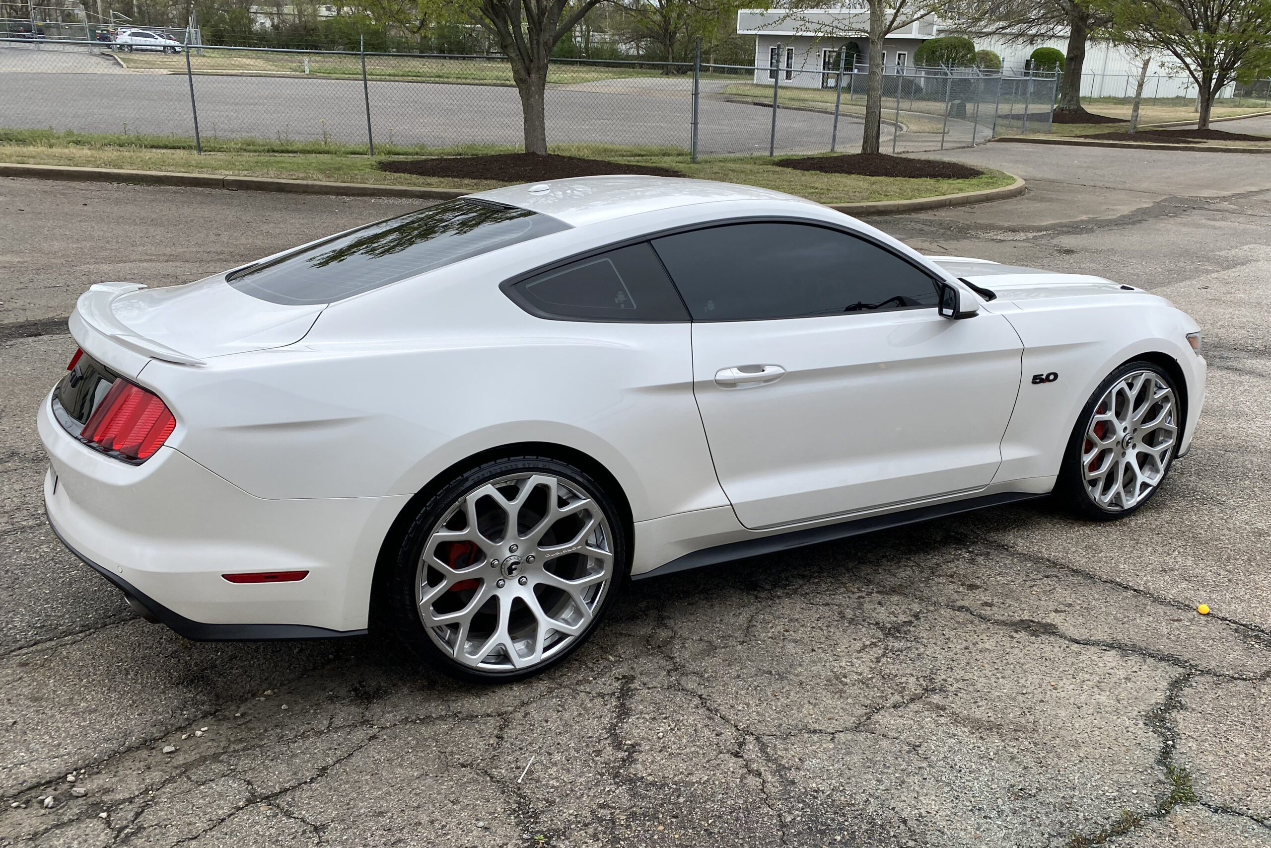 Mustang on Tessi-ECL