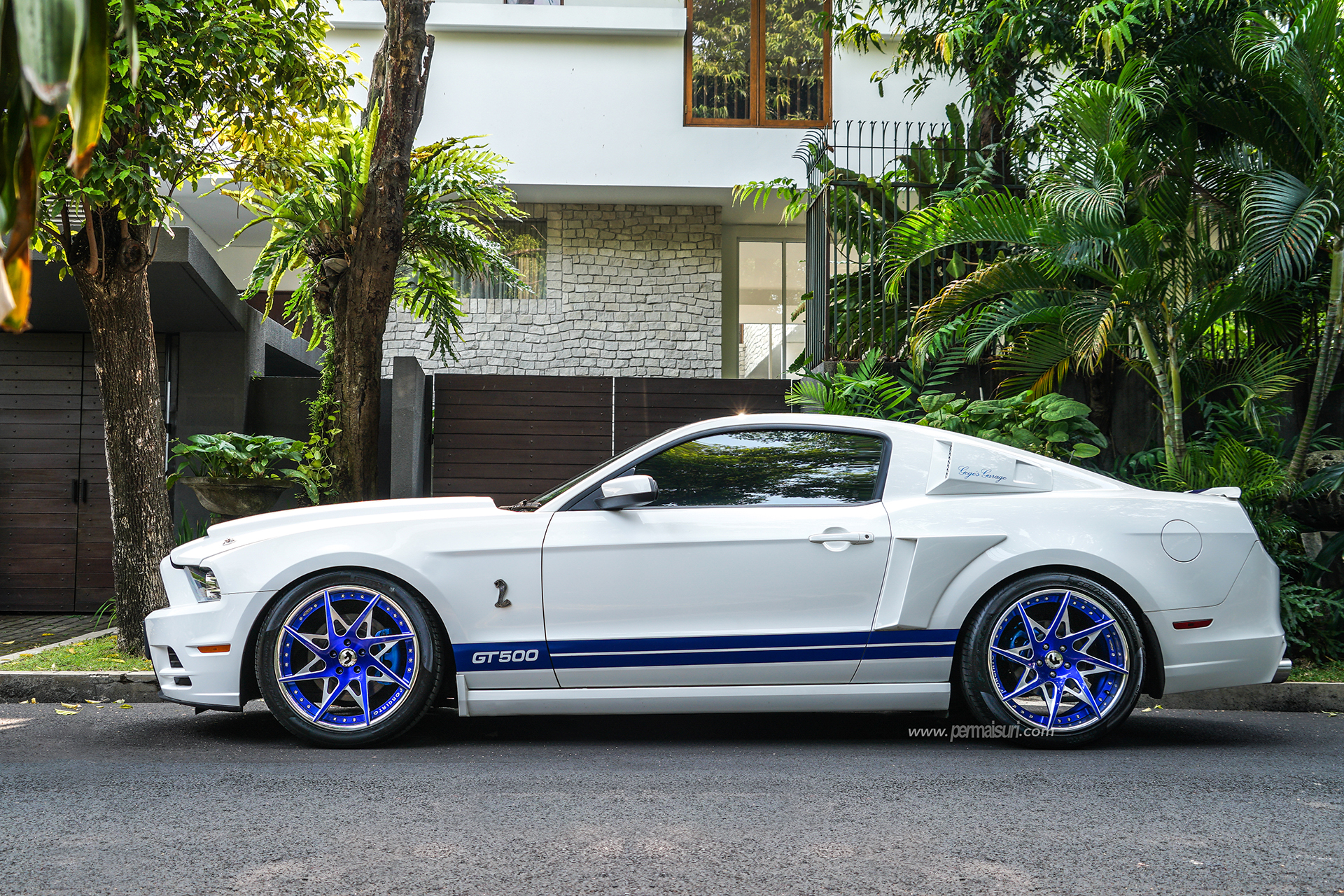 Mustang on Turni-ECL