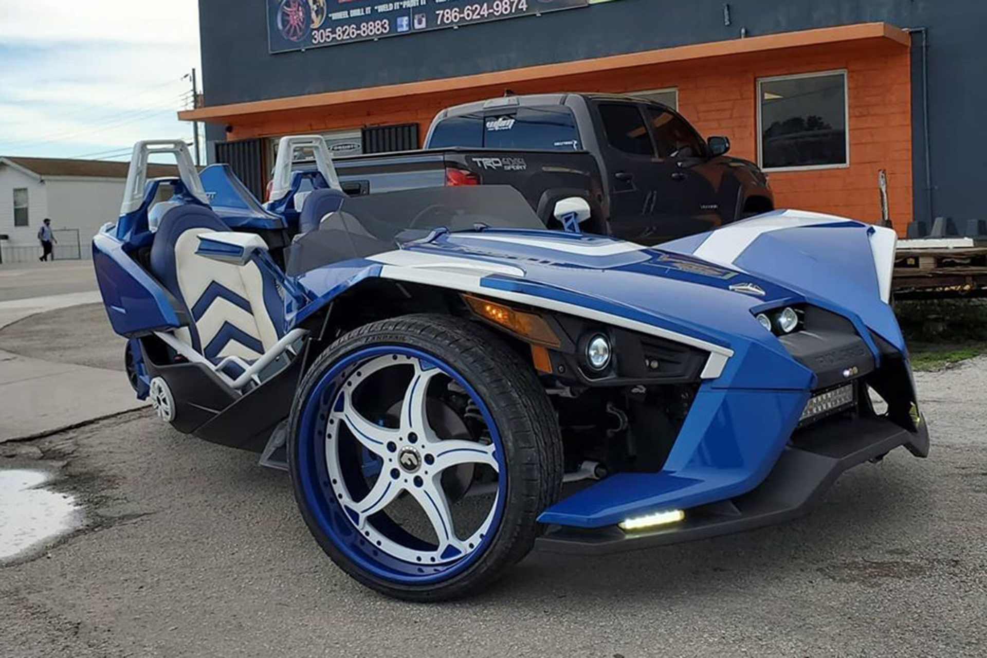 Polaris on Curva