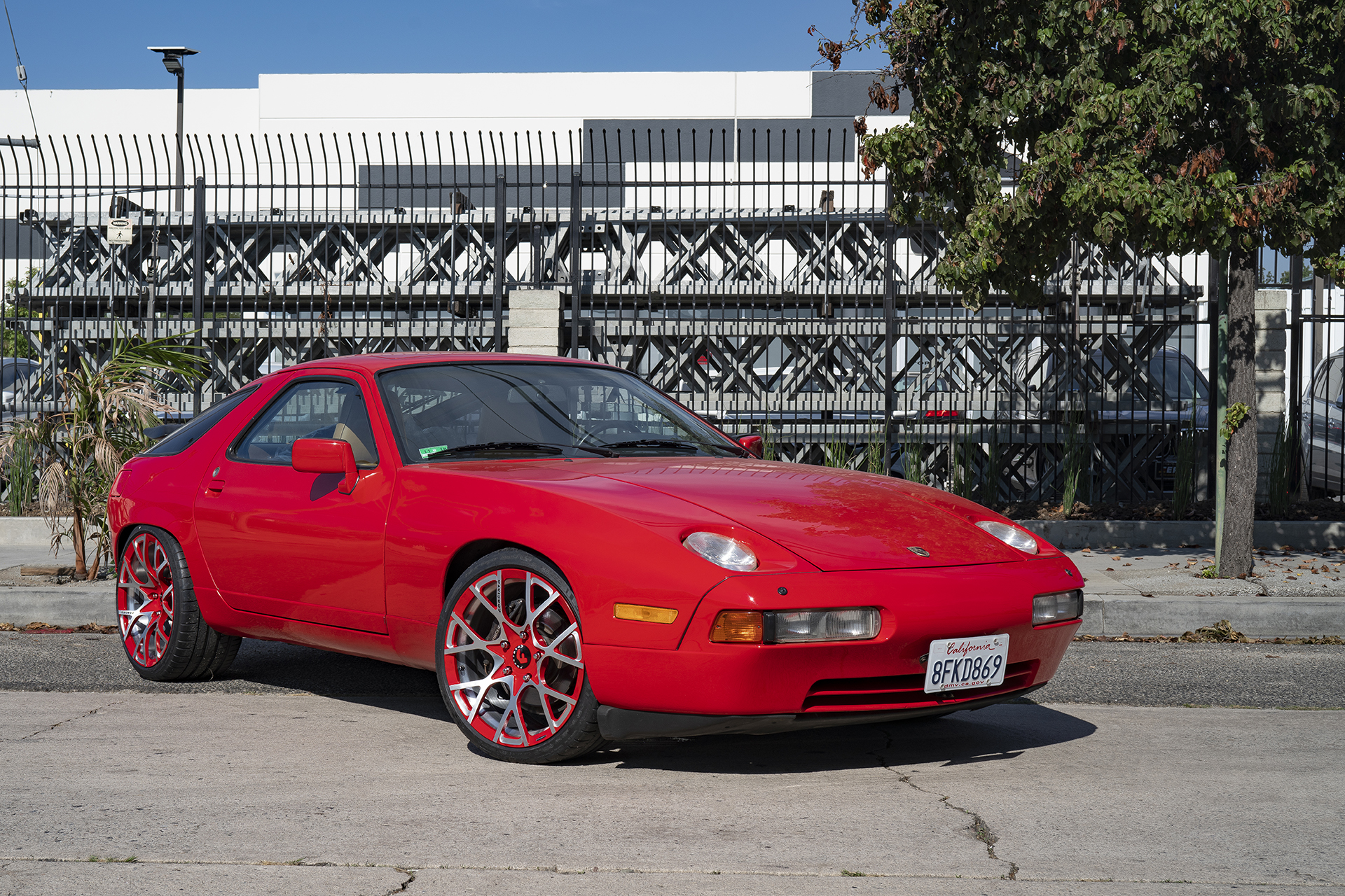 Porsche Carrera on Insetto-M