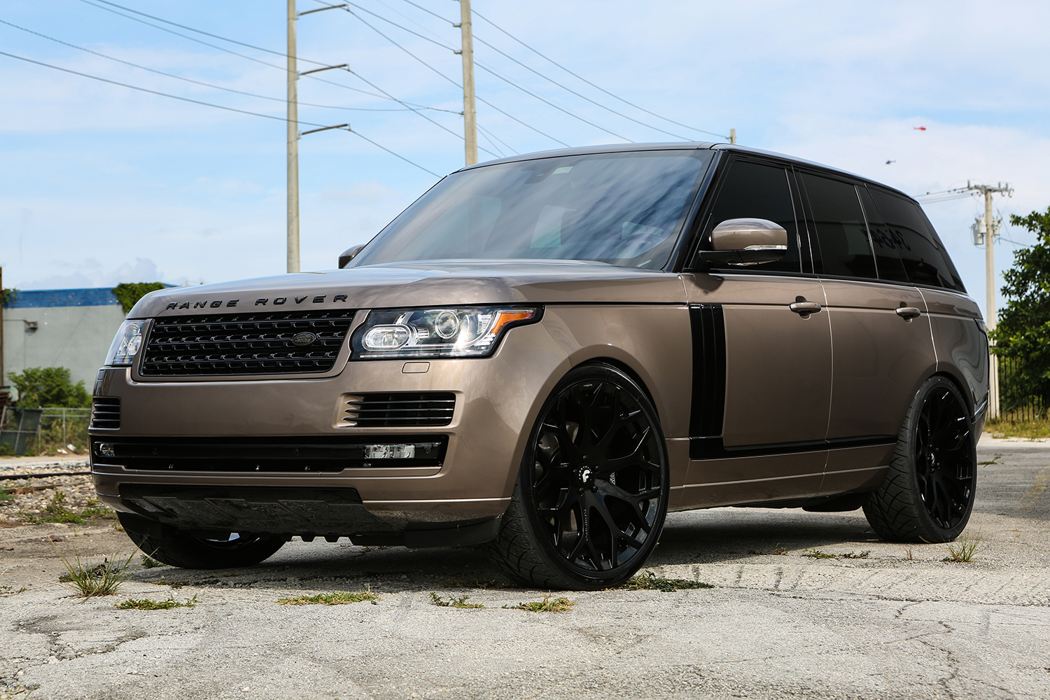 Range Rover on Drea-M