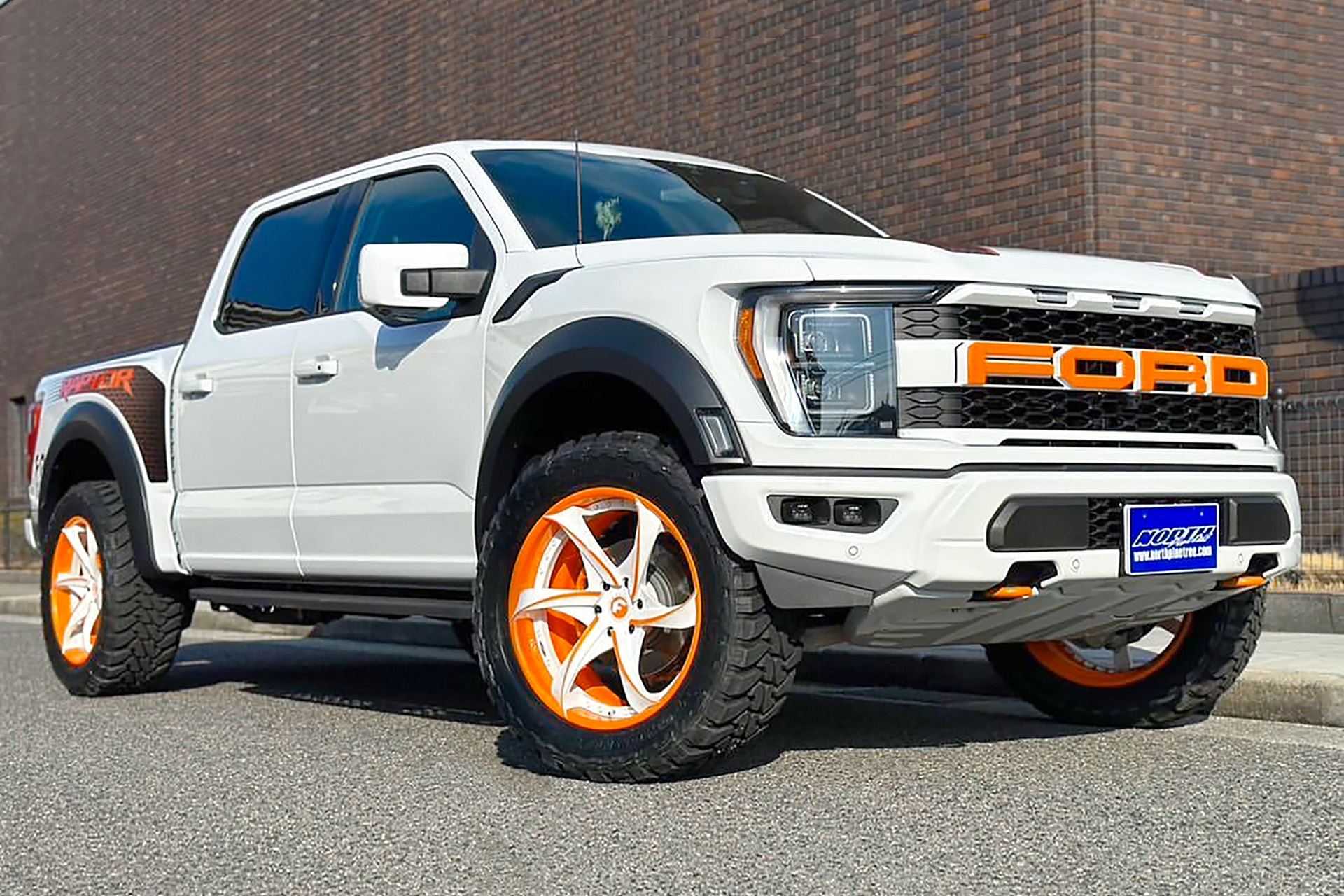Raptor on Appuntito-ECL