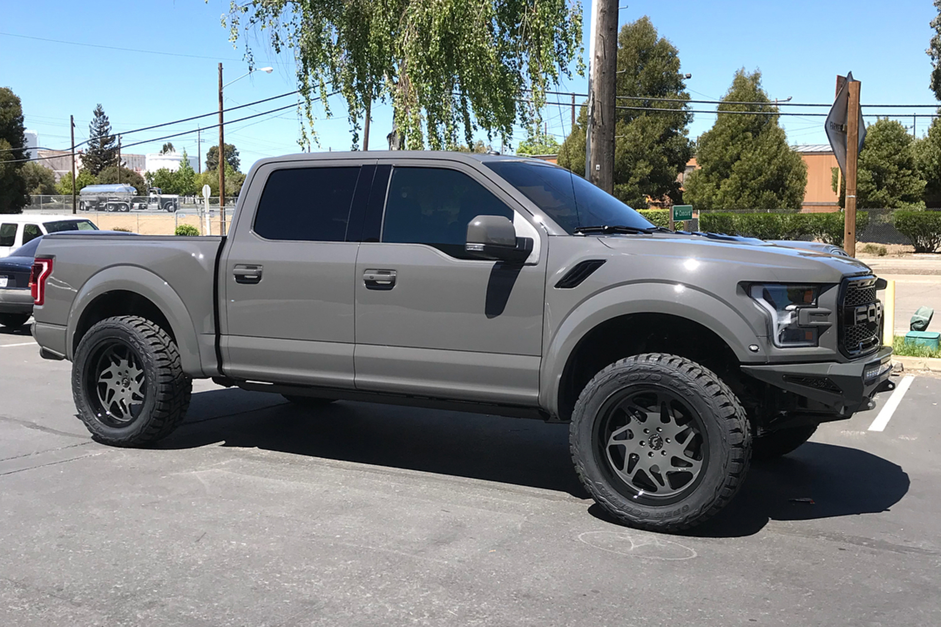 Raptor on Finestro-T