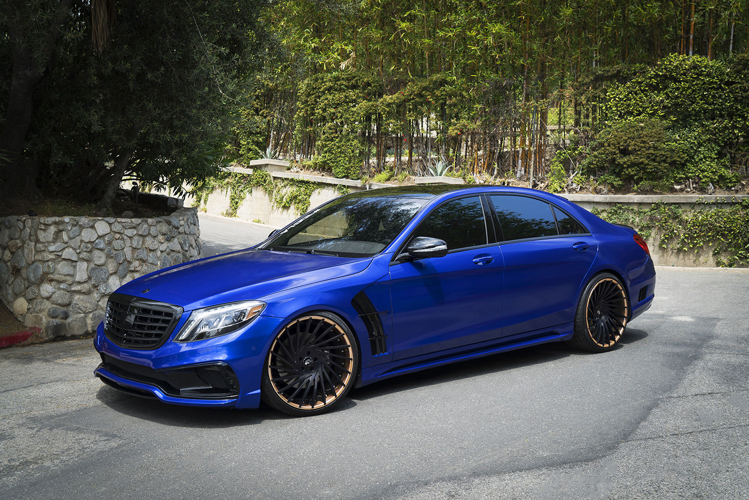 Sclass on Ventoso-ECL