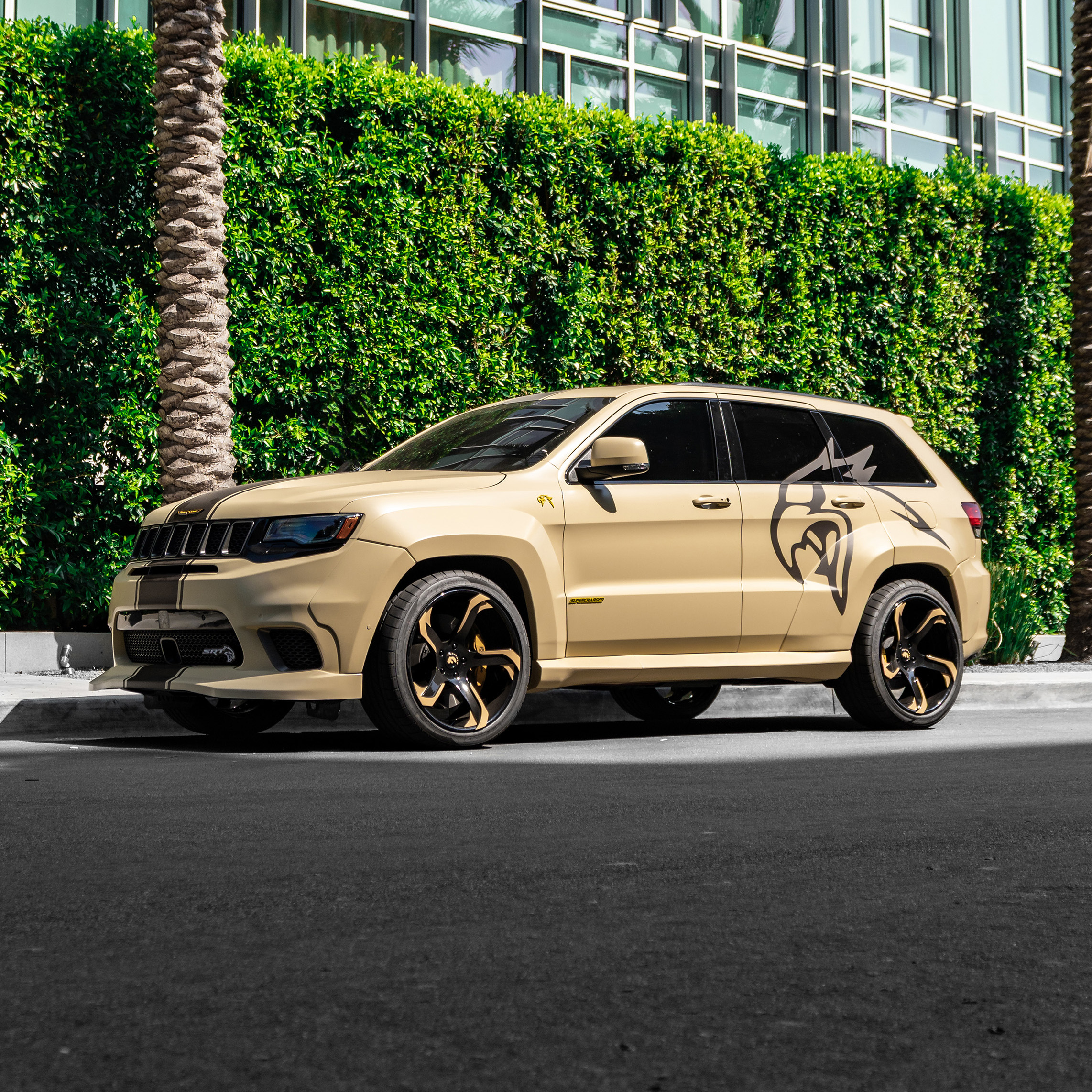 Trackhawk on S219-ECL