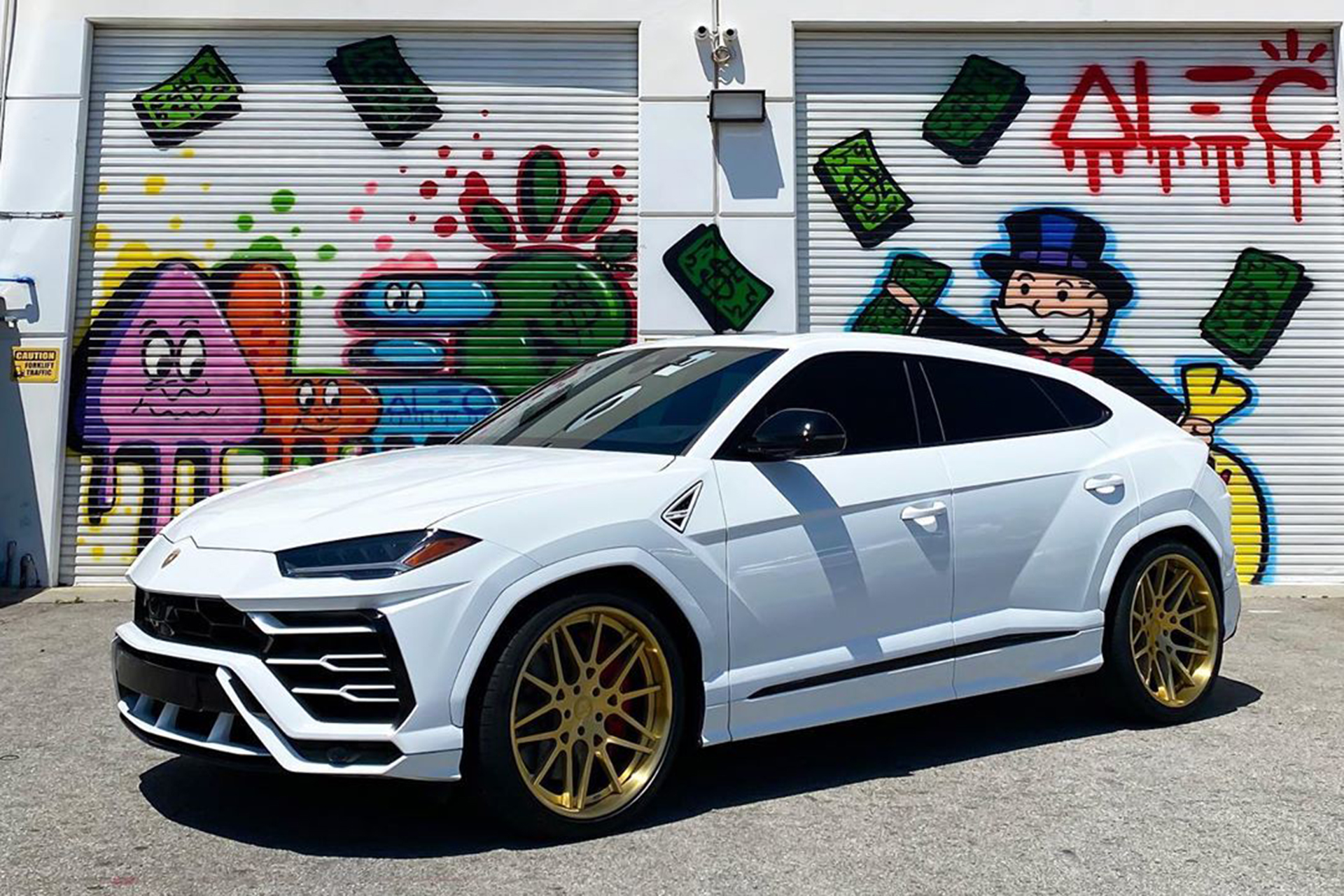 Urus on Maglia