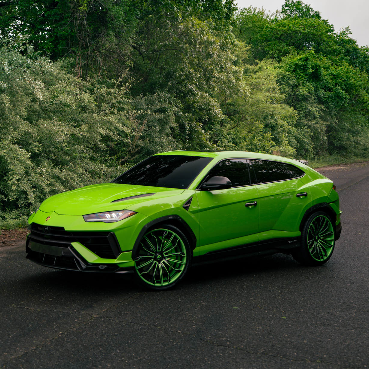 Urus on Montare-ECL
