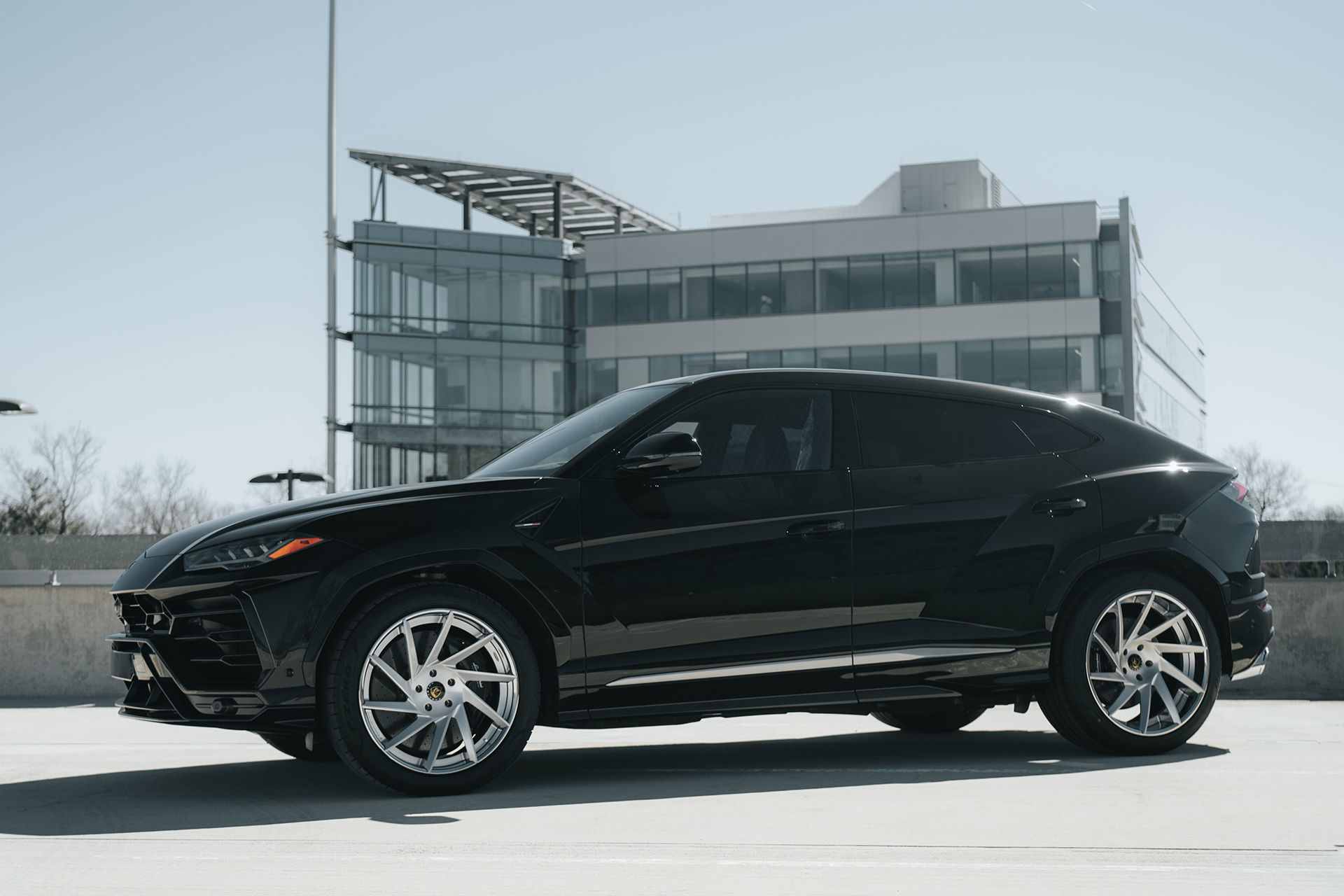 Urus on Troppo-ECL