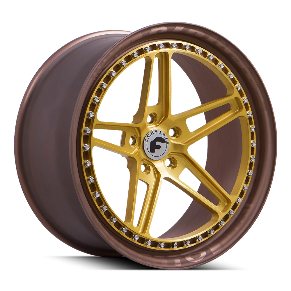 F-Cinque view 11