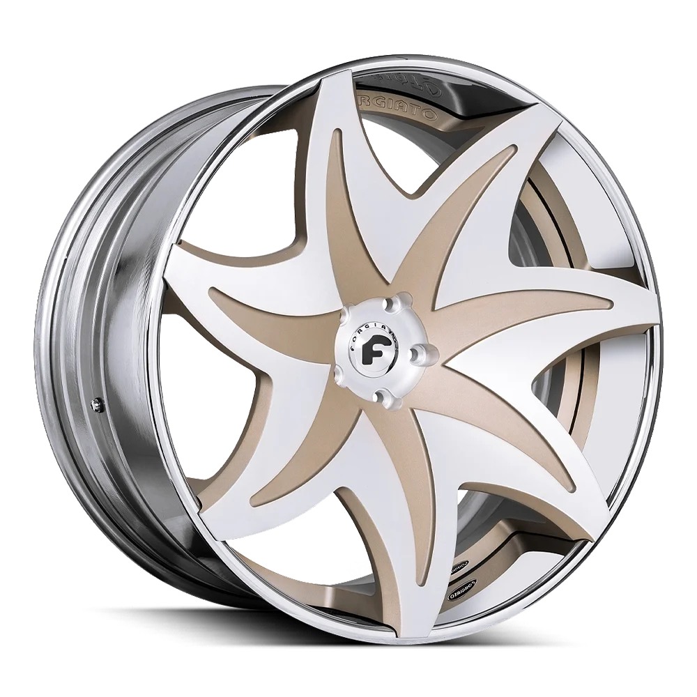Fiorito-ECL view 9