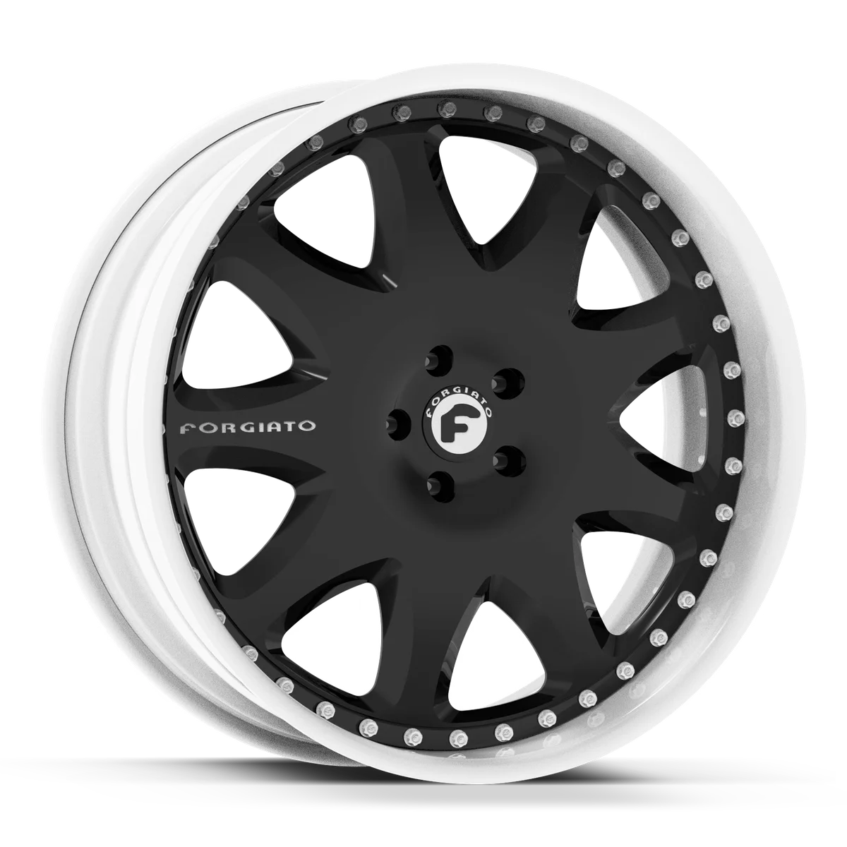 RSM-1 view 2